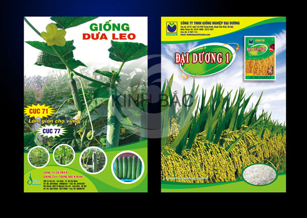 So da cao cap, so bia da, sổ da cao cấp, sổ bìa da